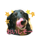こころのきもち（個別スタンプ：4）