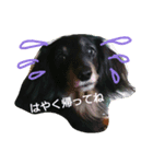 こころのきもち（個別スタンプ：6）