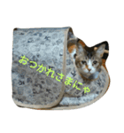 おまめ2（個別スタンプ：9）