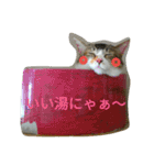 おまめ2（個別スタンプ：20）