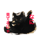 るなの気持ち（個別スタンプ：2）