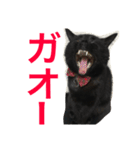 るなの気持ち（個別スタンプ：5）