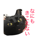 るなの気持ち（個別スタンプ：8）