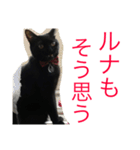 るなの気持ち（個別スタンプ：10）