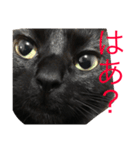 るなの気持ち（個別スタンプ：11）