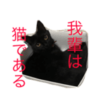 るなの気持ち（個別スタンプ：12）