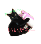 るなの気持ち（個別スタンプ：17）