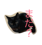 るなの気持ち（個別スタンプ：21）