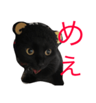 るなの気持ち（個別スタンプ：26）