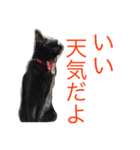 るなの気持ち（個別スタンプ：27）