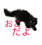 るなの気持ち（個別スタンプ：28）