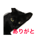 るなの気持ち（個別スタンプ：29）
