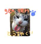 ニャ太郎 genten（個別スタンプ：4）