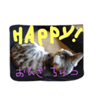 ニャ太郎 genten（個別スタンプ：8）