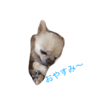 ミルク様（個別スタンプ：1）