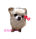 ミルク様（個別スタンプ：6）