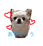 ミルク様（個別スタンプ：9）