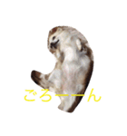 ミルク様（個別スタンプ：14）