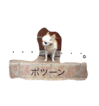 ミルク様（個別スタンプ：20）