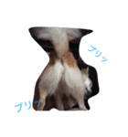 ミルク様（個別スタンプ：23）