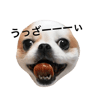 毒舌ポテトヘッド（個別スタンプ：2）