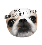 毒舌ポテトヘッド（個別スタンプ：4）