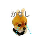 Pompom Komickey（個別スタンプ：5）