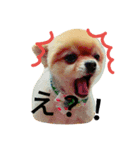 Pompom Komickey（個別スタンプ：6）