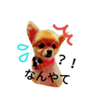 Pompom Komickey（個別スタンプ：9）