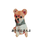 Pompom Komickey（個別スタンプ：10）