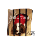 レディ−ココ（個別スタンプ：9）