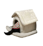 HANA＆JIJI（個別スタンプ：6）