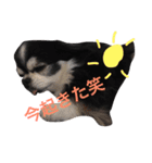 ch iwawa（個別スタンプ：5）