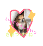 ch iwawa（個別スタンプ：6）