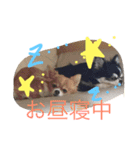 ch iwawa（個別スタンプ：10）