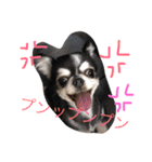 ch iwawa（個別スタンプ：12）