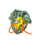 Peaceful daily routine of dogs and cats.（個別スタンプ：14）