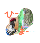 rumiremi（個別スタンプ：31）