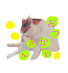 rumiremi（個別スタンプ：32）