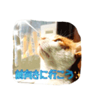 こぼ子とその仲間たち 2。（個別スタンプ：2）