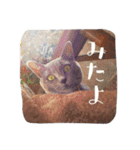 acquaintance cat（個別スタンプ：13）