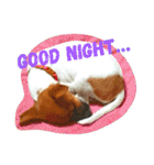 JRT ふく＆はな（個別スタンプ：2）