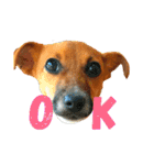 JRT ふく＆はな（個別スタンプ：3）