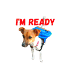 JRT ふく＆はな（個別スタンプ：5）