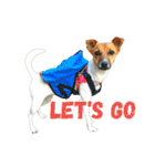 JRT ふく＆はな（個別スタンプ：6）