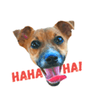 JRT ふく＆はな（個別スタンプ：7）