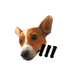 JRT ふく＆はな（個別スタンプ：8）