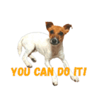 JRT ふく＆はな（個別スタンプ：9）