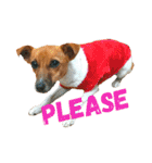 JRT ふく＆はな（個別スタンプ：14）