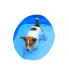 JRT ふく＆はな（個別スタンプ：17）